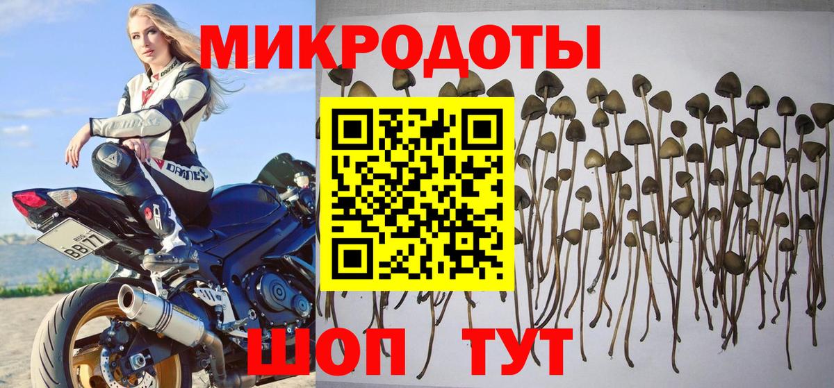 Псилоцибиновые грибы GOLDEN TEACHER Малоярославец