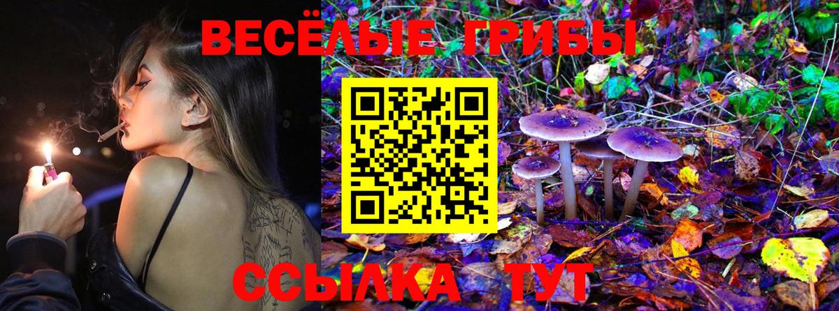 Галлюциногенные грибы MAGIC MUSHROOMS  Вход с VPN  Малоярославец 